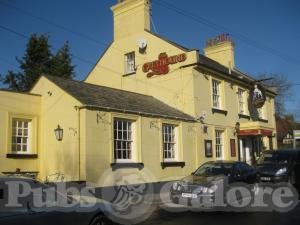 Picture of The Greyhound