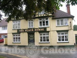 Picture of The Black Horse