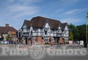 Picture of Tudor Arms