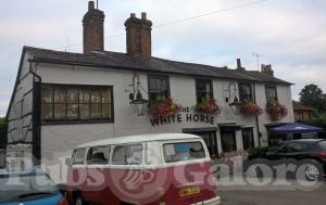 Picture of The White Horse