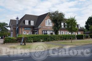 Picture of Pear Tree Inn