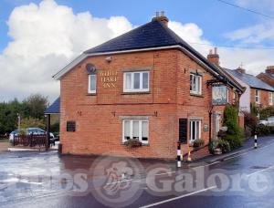 Picture of White Hart Inn