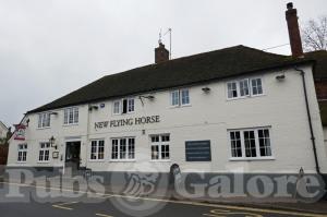 Picture of New Flying Horse