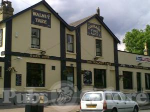 Picture of The Walnut Tree