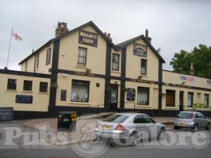 Picture of The Walnut Tree