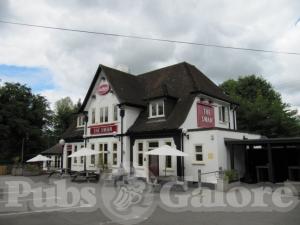Picture of The Swan