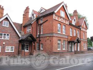 Picture of The Roebuck