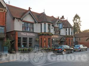 Picture of The Griffin