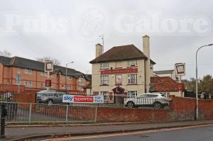 Picture of The Pheasant