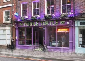 Picture of The Purple Turtle