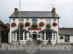 Picture of Red Lion