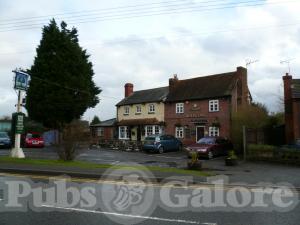 Picture of Royal Oak