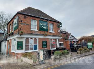 Picture of White Horse