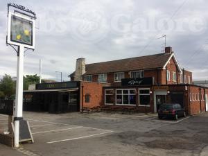 Picture of Sharkey's Bar @ The Lemon Tree