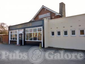 Picture of Sharkey's Bar @ The Lemon Tree
