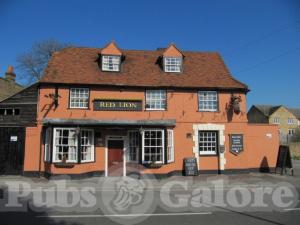 Picture of Red Lion
