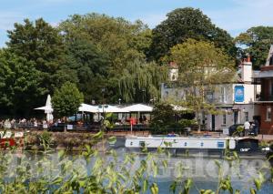 Picture of The Boatman