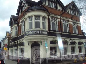 Picture of Golden Lion