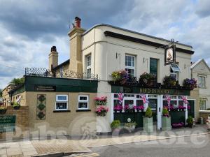 Picture of Bird in Hand