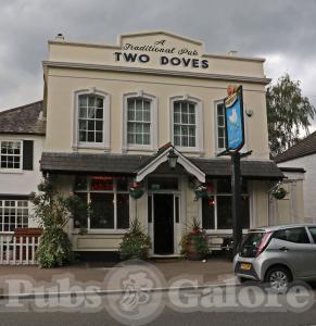 Picture of Two Doves