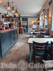 Picture of The Dolphin