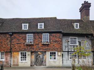 Picture of The Parrot