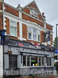 Picture of The White Lion