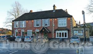 Picture of The Tigers Head