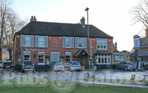 Picture of The Tigers Head