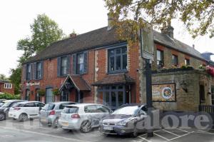 Picture of The Tigers Head