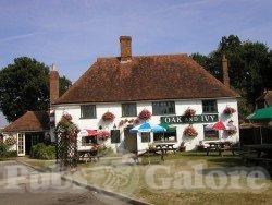 Picture of The Oak & Ivy