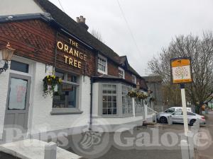 Picture of The Orange Tree