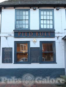 Picture of The Pied Bull