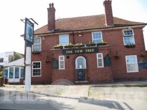 Picture of The Yew Tree