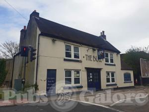 Picture of The Bull