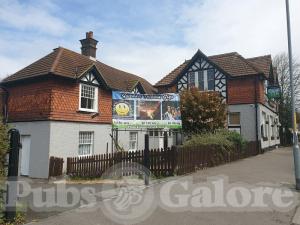 Picture of The Cricketers