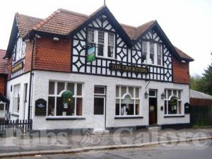Picture of The Cricketers