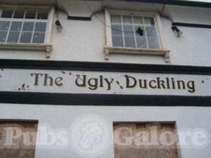 Picture of The Ugly Duckling