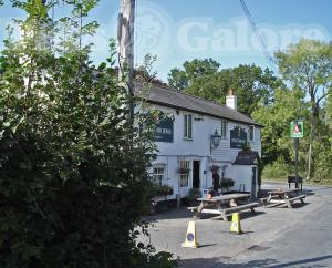 Picture of The Kentish Horse
