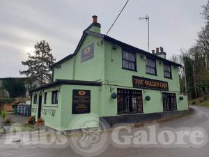 Picture of The Golden Lion