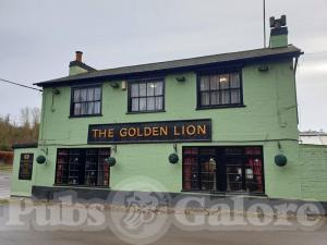 Picture of The Golden Lion