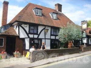 Picture of The Walnut Tree