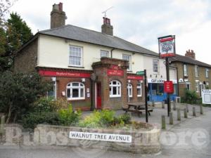 Picture of The Walnut Tree