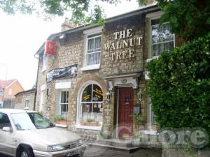 Picture of The Walnut Tree