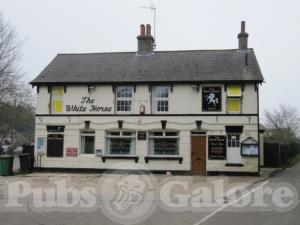 Picture of The White Horse