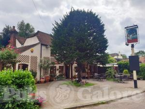 Picture of The Yew Tree Inn