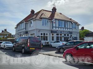 Picture of The Rodney