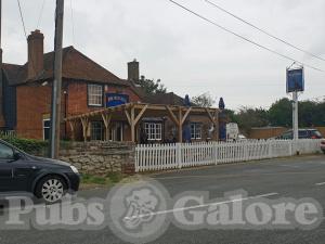 Picture of The Red Dog