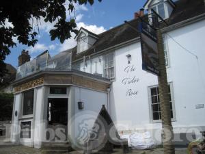 Picture of The Tudor Rose