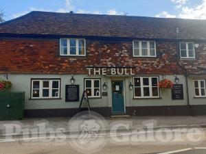 Picture of The Bull